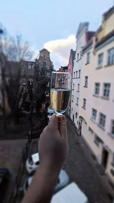 Mieszkanie Przy Zielonej Bramie Gdansk Apartment